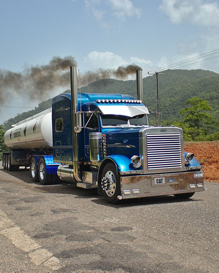 TRC20 Transaction Fees